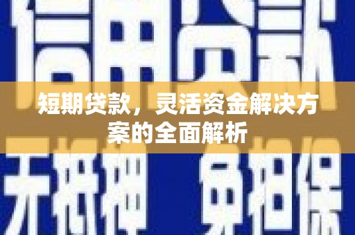 武鸣短期贷款，灵活资金解决方案的全面解析
