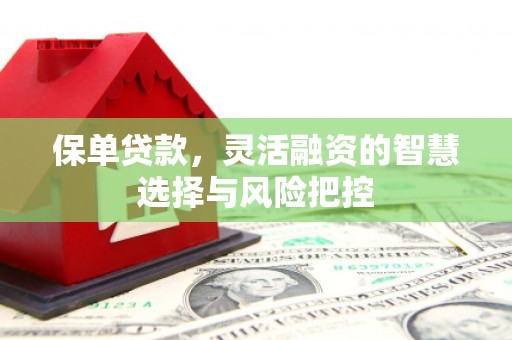 武鸣保单贷款，灵活融资的智慧选择与风险把控
