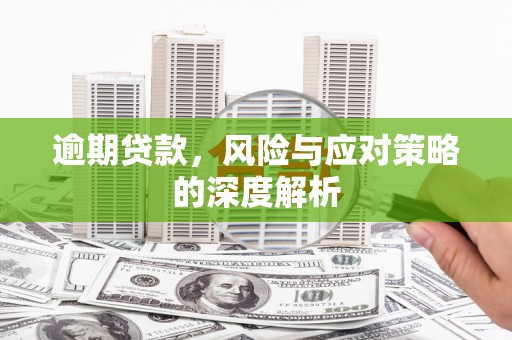 武鸣逾期贷款，风险与应对策略的深度解析