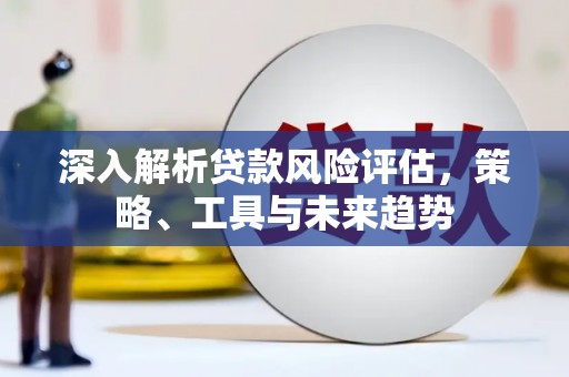 武鸣深入解析贷款风险评估，策略、工具与未来趋势