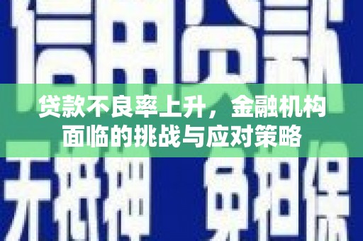 武鸣贷款不良率上升，金融机构面临的挑战与应对策略