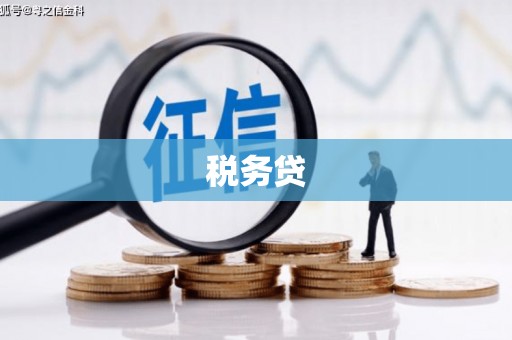 武鸣税务贷