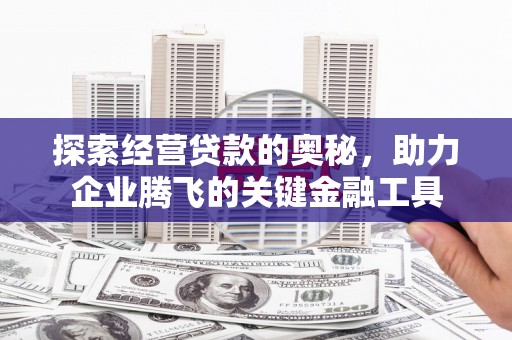 武鸣探索经营贷款的奥秘，助力企业腾飞的关键金融工具