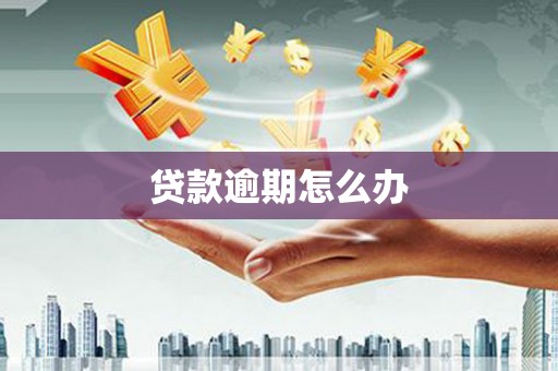 武鸣贷款逾期怎么办