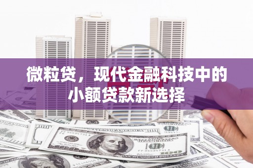 武鸣微粒贷，现代金融科技中的小额贷款新选择