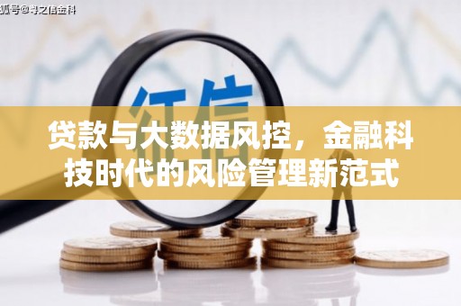 武鸣贷款与大数据风控，金融科技时代的风险管理新范式