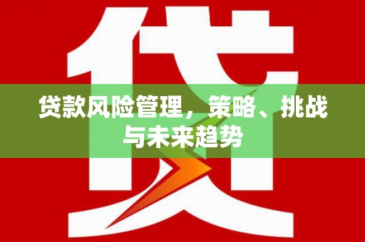 武鸣贷款风险管理，策略、挑战与未来趋势