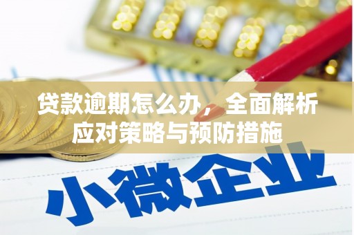 武鸣贷款逾期怎么办，全面解析应对策略与预防措施