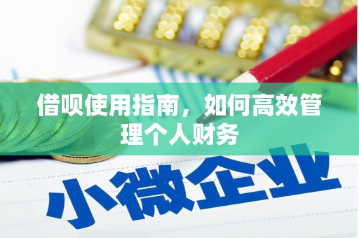 武鸣借呗使用指南，如何高效管理个人财务