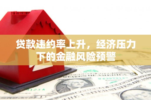 武鸣贷款违约率上升，经济压力下的金融风险预警