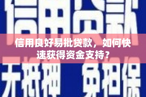武鸣信用良好易批贷款，如何快速获得资金支持？