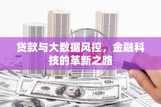 武鸣贷款与大数据风控，金融科技的革新之路