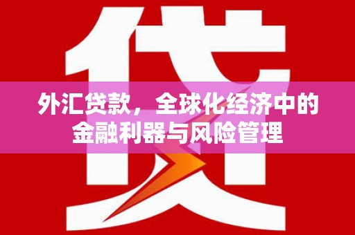 武鸣外汇贷款，全球化经济中的金融利器与风险管理
