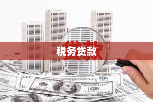 武鸣税务贷款