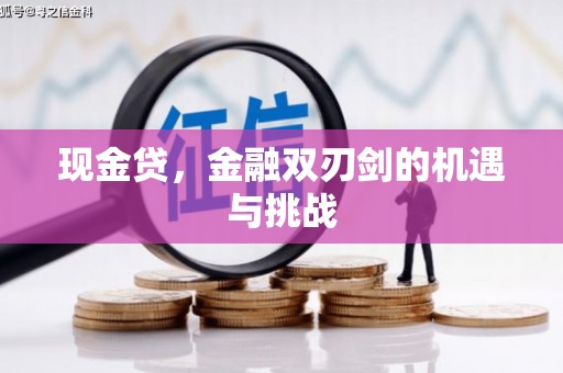 武鸣现金贷，金融双刃剑的机遇与挑战