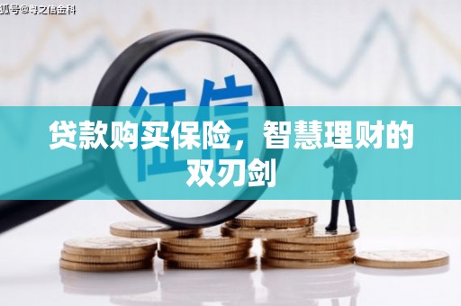 武鸣贷款购买保险，智慧理财的双刃剑