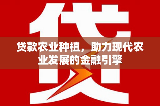武鸣贷款农业种植，助力现代农业发展的金融引擎