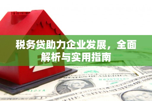 武鸣税务贷助力企业发展，全面解析与实用指南