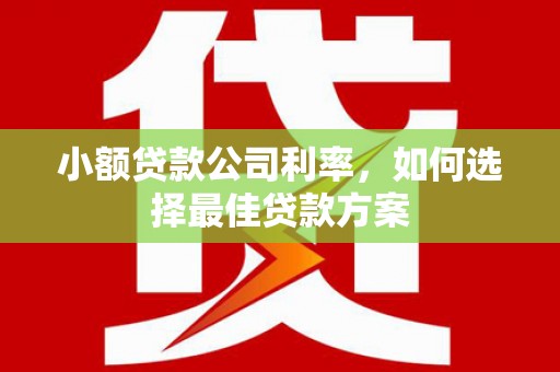 武鸣小额贷款公司利率，如何选择最佳贷款方案