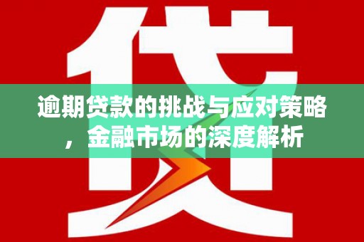 武鸣逾期贷款的挑战与应对策略，金融市场的深度解析