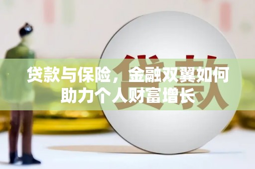 武鸣贷款与保险，金融双翼如何助力个人财富增长