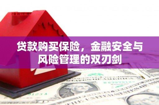 武鸣贷款购买保险，金融安全与风险管理的双刃剑