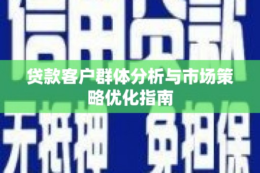 武鸣贷款客户群体分析与市场策略优化指南