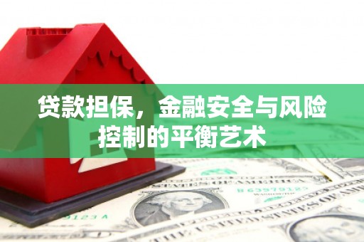 武鸣贷款担保，金融安全与风险控制的平衡艺术