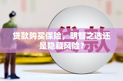 武鸣贷款购买保险，明智之选还是隐藏风险？