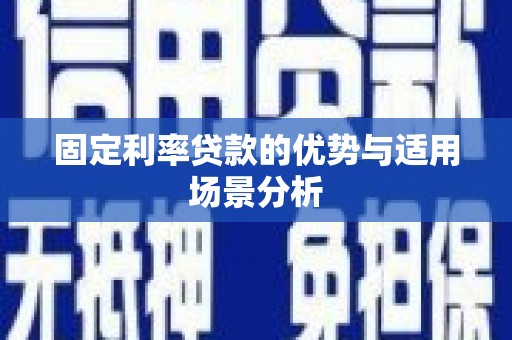 武鸣固定利率贷款的优势与适用场景分析