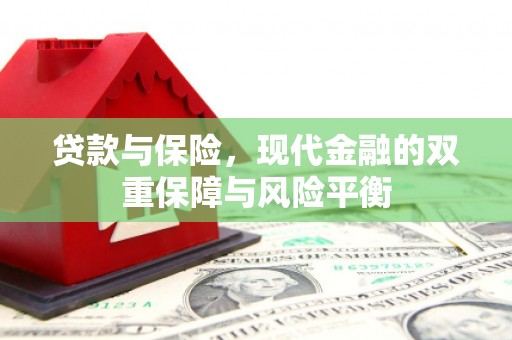 武鸣贷款与保险，现代金融的双重保障与风险平衡