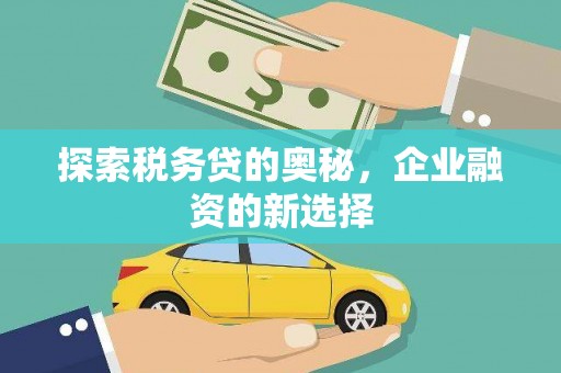 武鸣探索税务贷的奥秘，企业融资的新选择