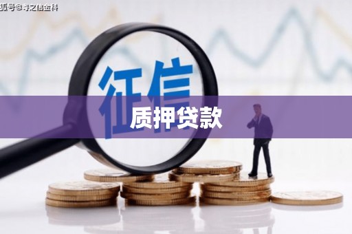 武鸣质押贷款