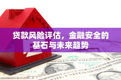 武鸣贷款风险评估，金融安全的基石与未来趋势