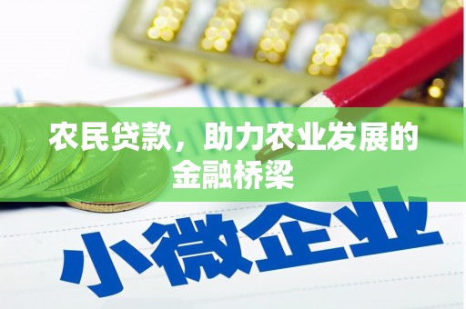 武鸣农民贷款，助力农业发展的金融桥梁
