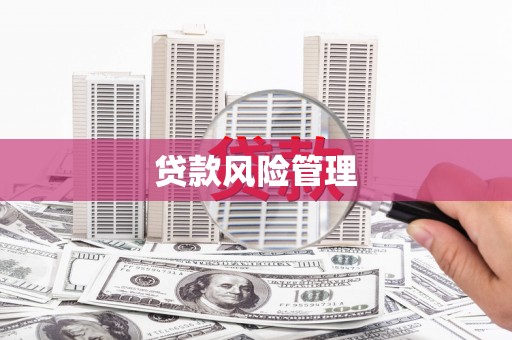 武鸣贷款风险管理