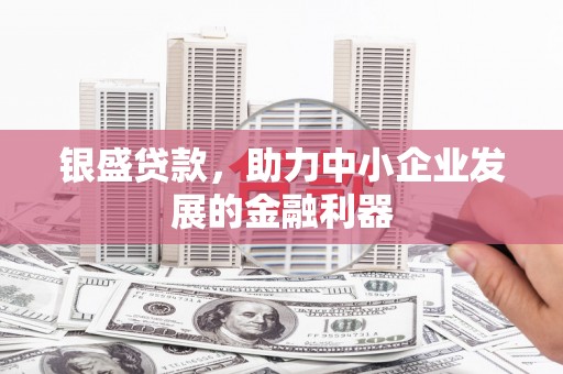 武鸣银盛贷款，助力中小企业发展的金融利器
