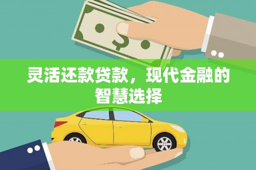 武鸣灵活还款贷款，现代金融的智慧选择