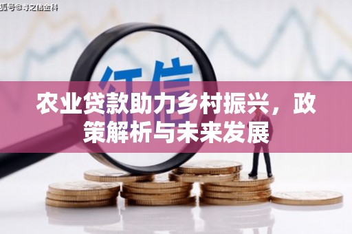 武鸣农业贷款助力乡村振兴，政策解析与未来发展