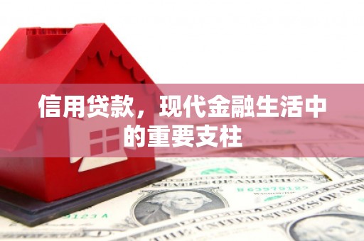 武鸣信用贷款，现代金融生活中的重要支柱