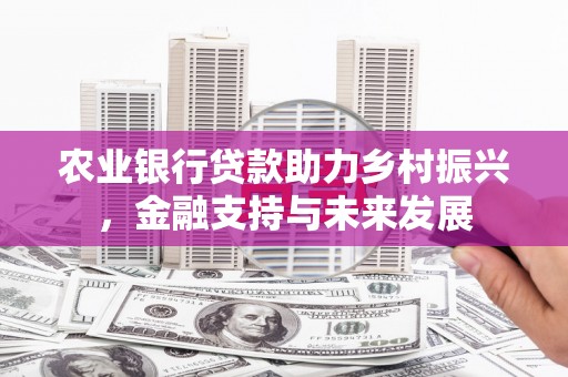 武鸣农业银行贷款助力乡村振兴，金融支持与未来发展