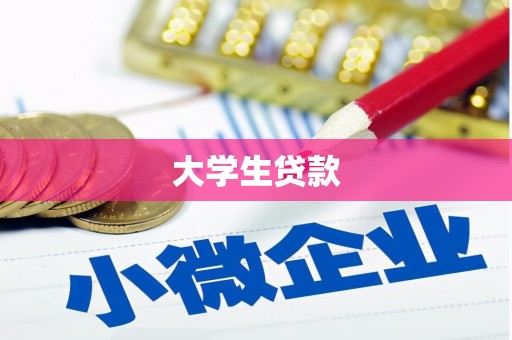 武鸣大学生贷款