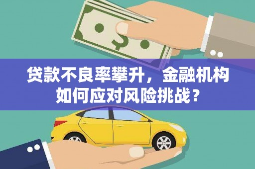 武鸣贷款不良率攀升，金融机构如何应对风险挑战？
