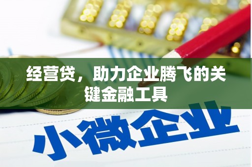 武鸣经营贷，助力企业腾飞的关键金融工具