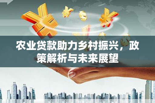 武鸣农业贷款助力乡村振兴，政策解析与未来展望