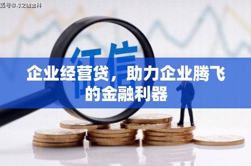 武鸣企业经营贷，助力企业腾飞的金融利器