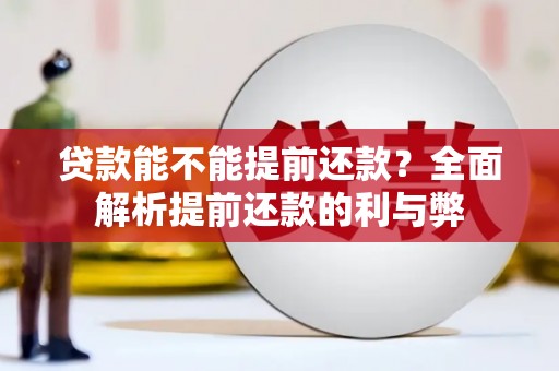 武鸣贷款能不能提前还款？全面解析提前还款的利与弊