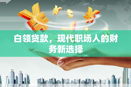武鸣白领贷款，现代职场人的财务新选择