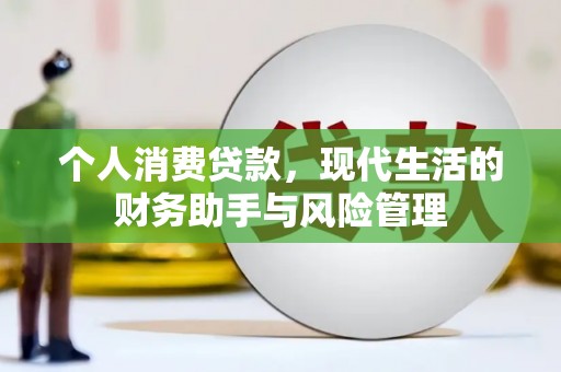 武鸣个人消费贷款，现代生活的财务助手与风险管理
