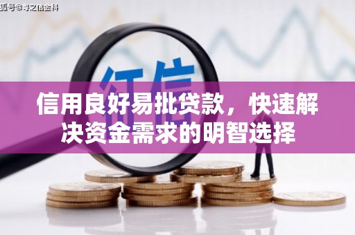 武鸣信用良好易批贷款，快速解决资金需求的明智选择